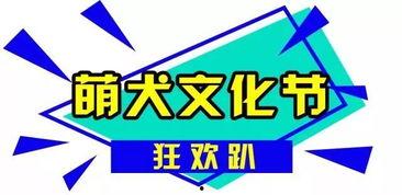 全民娱乐大爆料,揭秘娱乐圈幕后风云